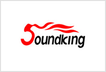  Soundking