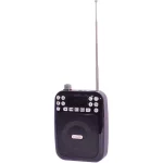 חגורת הגברה A Audio LY022