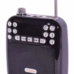 ⁦חגורת הגברה A Audio LY022⁩ – תמונה ⁦2⁩