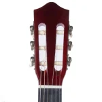 גיטרה קלאסית Armando C941SB – תמונה 6