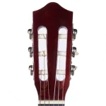 גיטרה קלאסית Armando C941 Spruce – תמונה 6