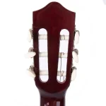 גיטרה קלאסית Armando C941 Spruce – תמונה 7