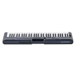 אורגנית Casio CT-S300 עם רגישות למגע – תמונה 4