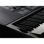 אורגנית Casio CT-X3000 – תמונה 5