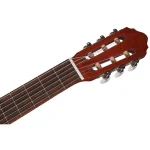 גיטרה קלאסית Cort AC100SG – תמונה 5