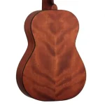 גיטרה קלאסית בגודל 1/2 Cort AC50 – תמונה 3