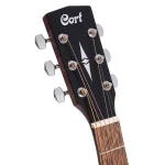 ⁦גיטרה אקוסטית Cort AF510M⁩ – תמונה ⁦5⁩