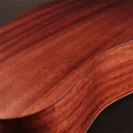 גיטרה אקוסטית Cort Earth Bevel Cut – תמונה 4