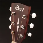 גיטרה אקוסטית Cort Earth Bevel Cut – תמונה 8