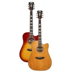 גיטרה אקוסטית מוגברת D'Angelico Premier Bowery Cutaway