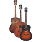 גיטרה אקוסטית מוגברת D'angelico Premier Tammany LS