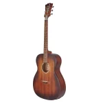 גיטרה אקוסטית מוגברת D'angelico Premier Tammany LS – תמונה 2