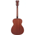 גיטרה אקוסטית מוגברת D'angelico Premier Tammany LS – תמונה 6