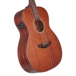 גיטרה אקוסטית מוגברת D'angelico Premier Tammany LS – תמונה 7