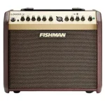 מגבר לגיטרה אקוסטית Fishman Loudbox Mini עם בלוטות'