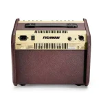 מגבר לגיטרה אקוסטית Fishman Loudbox Mini עם בלוטות' – תמונה 2