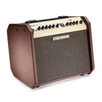 מגבר לגיטרה אקוסטית Fishman Loudbox Mini עם בלוטות' – תמונה 3