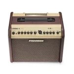 מגבר לגיטרה אקוסטית Fishman Loudbox Mini עם בלוטות' – תמונה 5