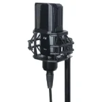 מיקרופון קונדנסר ICM RM-1