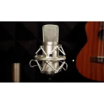 ⁦מיקרופון קונדנסר Icon Audio M1⁩ – תמונה ⁦5⁩