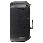 בידורית 8" עם מיקרופון Italian Stage FRX08AW – תמונה 2