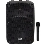 בידורית 10" עם מיקרופון Italian Stage FRX10 AW
