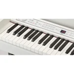פסנתר חשמלי מיבואן רשמי Korg C1 Air בצבעי שחור ולבן – תמונה 4