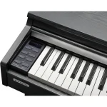פסנתר חשמלי Kurzweil CUP M1 בצבעים שונים – תמונה 9