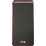 מגבר לגיטרה אקוסטית Laney A-Duo