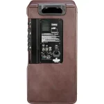 מגבר לגיטרה אקוסטית Laney A-Duo – תמונה 3