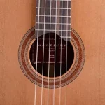 גיטרה קלאסית Martinez ES-04C – תמונה 4