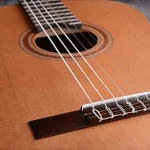 גיטרה קלאסית Martinez ES-04C – תמונה 5