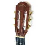 גיטרה קלאסית Walden N450 – תמונה 2