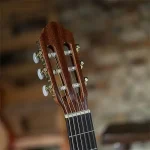גיטרה קלאסית מוגברת Peavey CNS-CE – תמונה 5