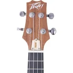 יוקלילי סופרן Peavey Delta Woods Student – תמונה 4