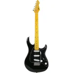 ⁦גיטרה חשמלית Peavey Raptor Custom בצבעים שונים⁩ – תמונה ⁦4⁩