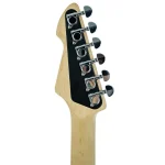 ⁦גיטרה חשמלית Peavey Raptor Custom בצבעים שונים⁩ – תמונה ⁦9⁩