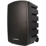 בידורית QL-Milano QL1010 עם 2 מיקרופונים אלחוטיים – תמונה 4