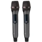 בידורית QL-Milano QL1010 עם 2 מיקרופונים אלחוטיים – תמונה 5