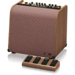 מגבר לאקוסטית ושירה TC Helicon Harmony V60 עם שלל אפקטים – תמונה 3