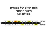 ⁦מפוחית דיאטונית מינור הרמוני Lee Oskar Harmonic Minor בסולמות שונים⁩ – תמונה ⁦6⁩