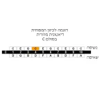 ⁦מפוחית דיאטונית מז'ורית Lee Oskar Major Diatonic בסולמות שונים⁩ – תמונה ⁦5⁩