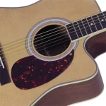 גיטרה אקוסטית Walden AG450C – תמונה 3