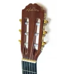 גיטרה קלאסית Walden N460 – תמונה 2