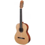 גיטרה קלאסית Walden N460