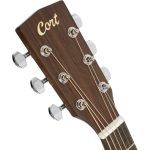 גיטרה אקוסטית Cort Arium – תמונה 6