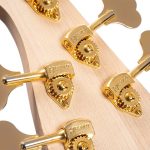 גיטרה בס 5 מיתרים Cort Jeff Berlin Rithimic V – תמונה 8