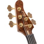 גיטרה בס 5 מיתרים Cort Jeff Berlin Rithimic V – תמונה 9