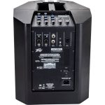רמקול קולונה מוגבר Peavey LN 1063 – תמונה 2