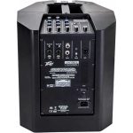 רמקול קולונה מוגבר Peavey LN 1063 – תמונה 7